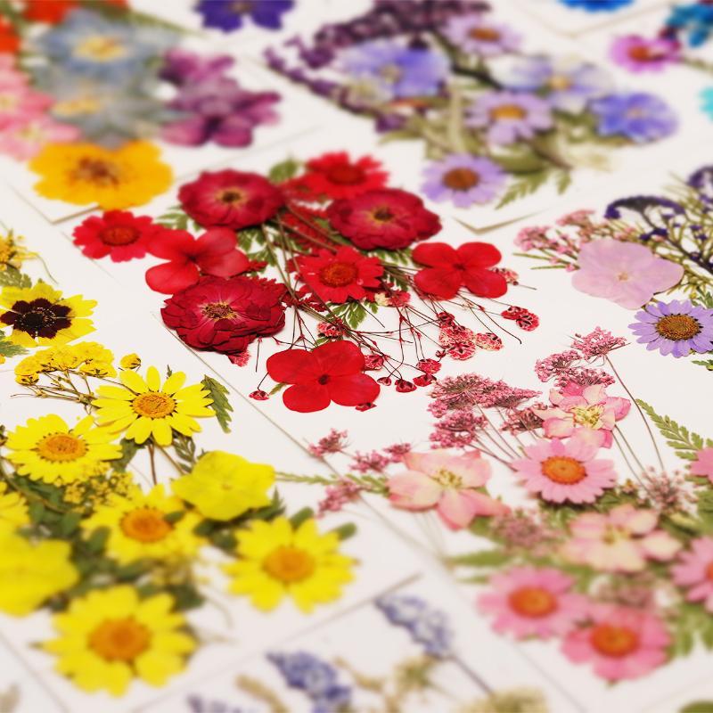 Resin Craft Ideas - 실제 천연 압축 건조 식물 꽃