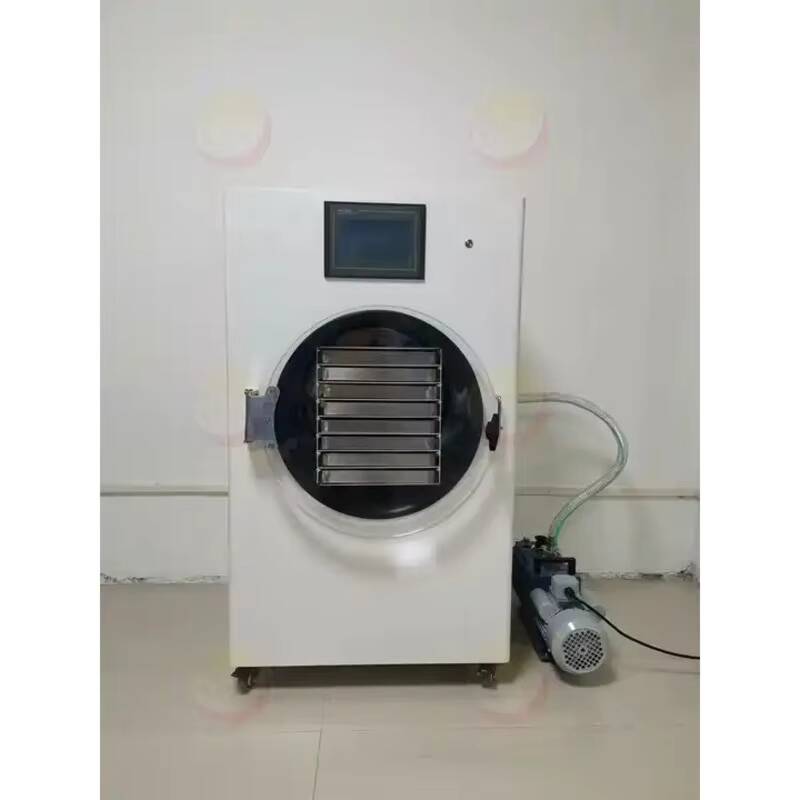 Vacuum Chamber Small - 소형 진공 냉동 건조기 실험실용 냉동