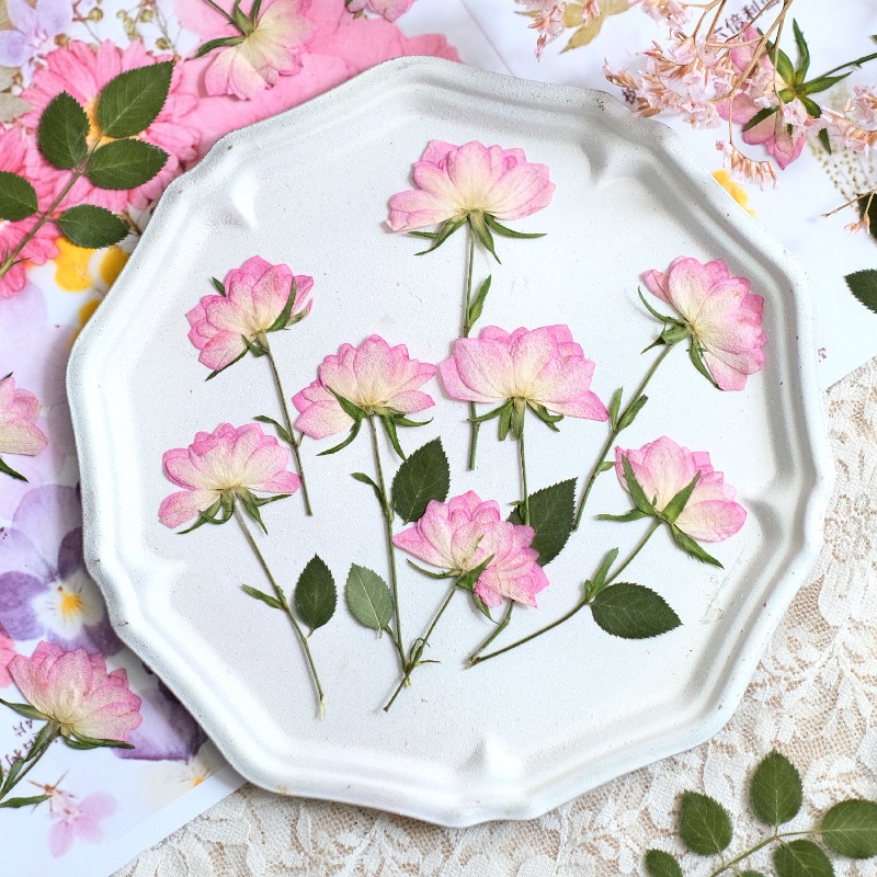 Resin Craft Ideas - 12개, 휴대폰 케이스 DIY용 진짜 건조