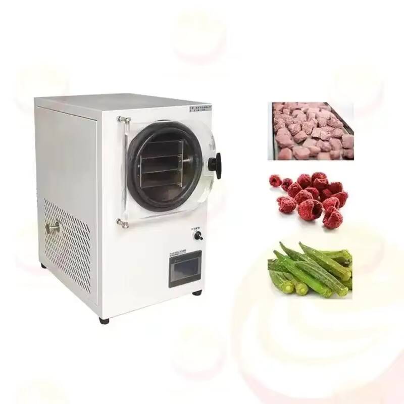 소형 진공 냉동 건조기 실험실용 냉동 건조기 가정용 미 - Vacuum Chamber Small 리뷰 및 가격